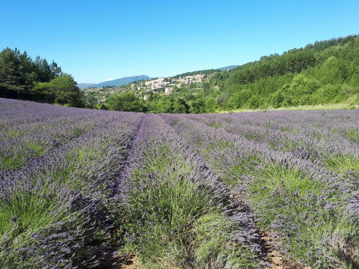 Gite Dentelles Loriol-du-Comtat Exteriör bild